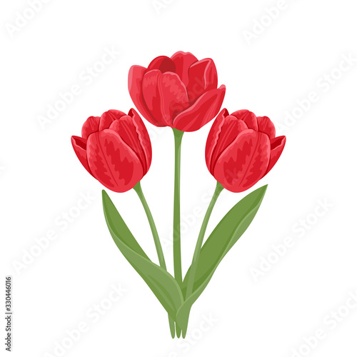 Bouquet of tulips. Three red spring flowers with green leaves and stems isolated on a white background. Vector holiday illustration in cartoon flat style.