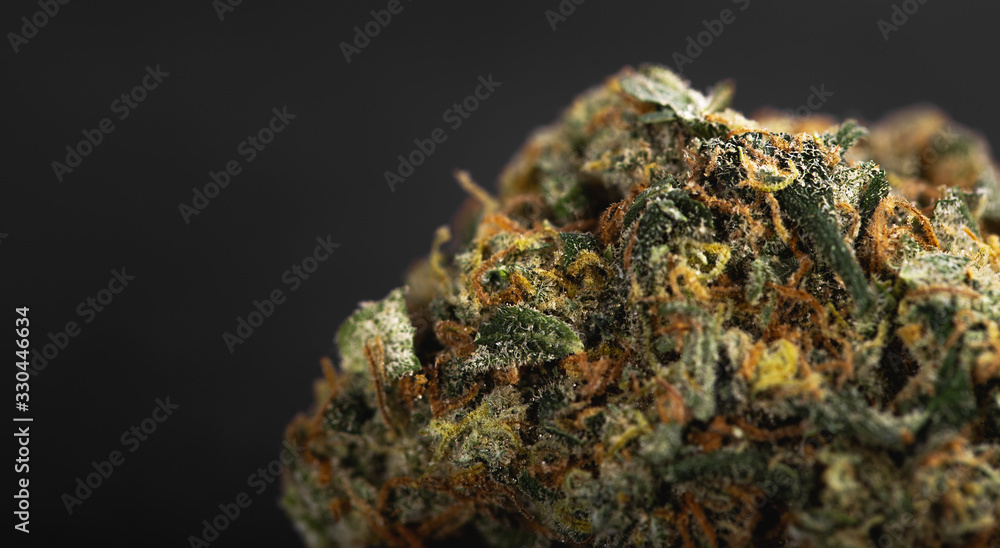 medical marijuana, cannabis bud macro on the black background medical marijuana, cannabis bud macro on the black background