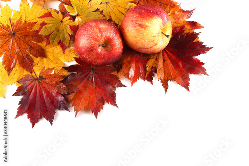 Gala apples on autumn maple leaves background