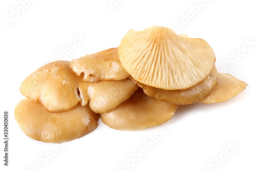 Yellow oyster mushrooms.