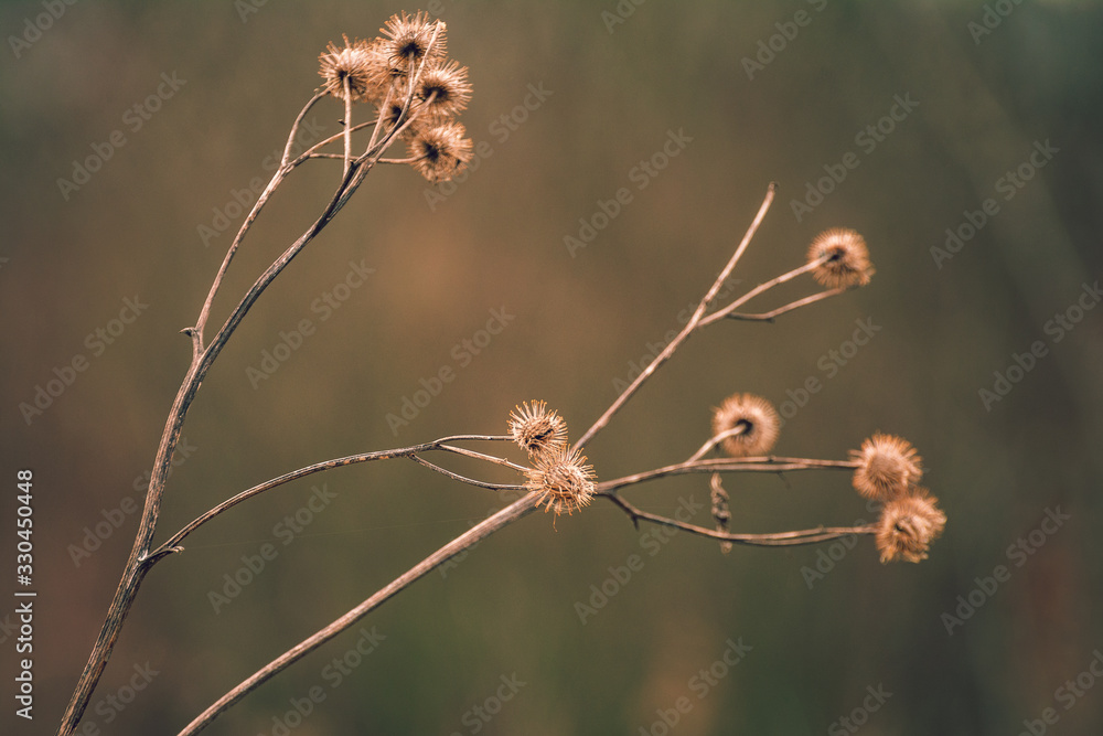 Nature beauty Nature beauty
