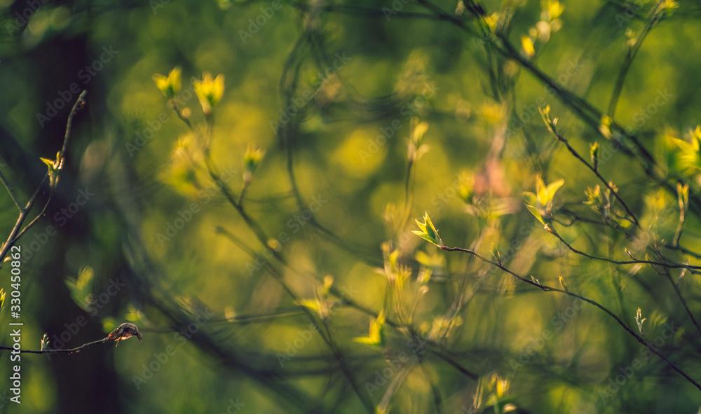 Nature beauty Nature beauty