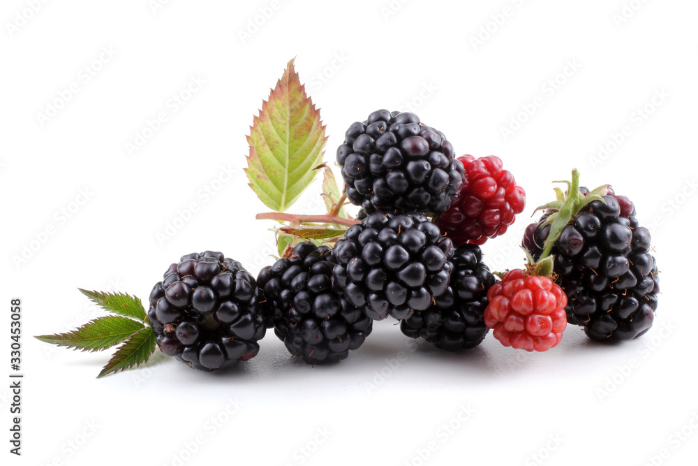 Cluster of blackberries Cluster of blackberries
