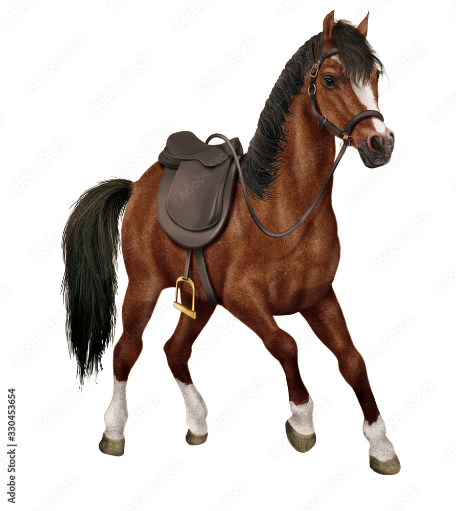 Obraz premium cheval, animal, en selle, brun, étalon, isolé, poney, mammifère, ferme, jument, noir, chevalin, nature, galop, crin, poulain, amoureux des chevaux, beau, cheval, course, andalou, arabe, gallois, deux