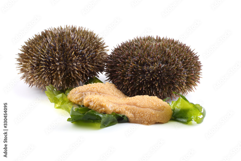 Gray sea urchin and caviar Gray sea urchin and caviar