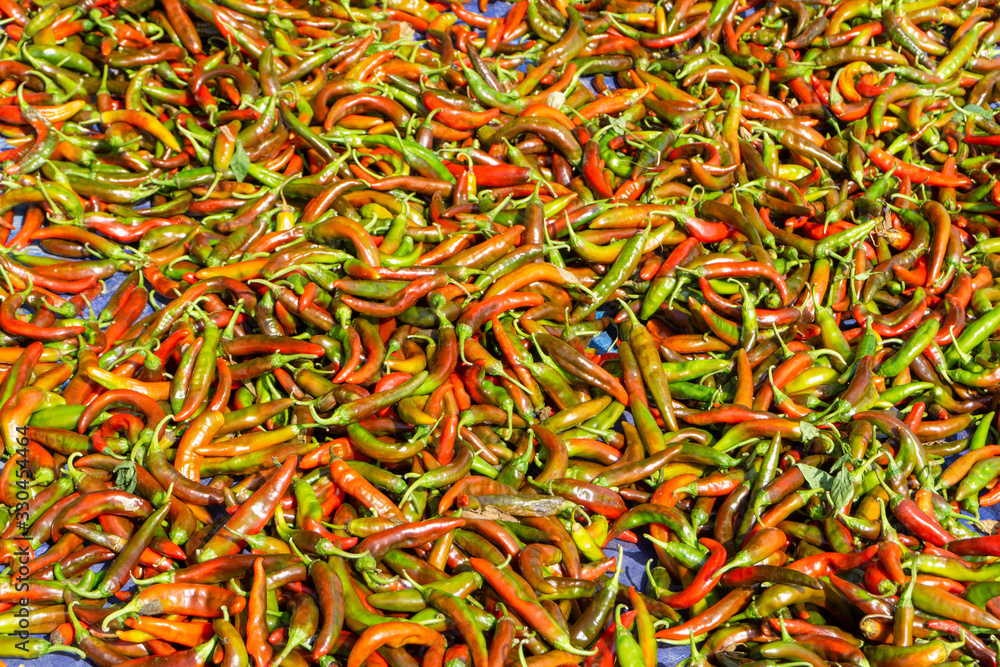 Several fresh red and green chilis or hot peppers Several fresh red and green chilis or hot peppers
