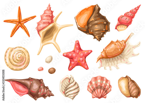 Set of seashells. Tropical underwater mollusk shells.