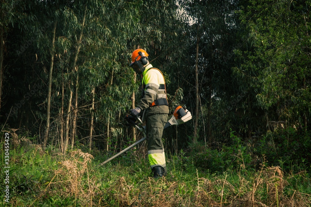 Forestry worker