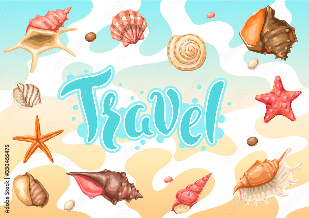 Background with seashells. Tropical underwater mollusk shells.