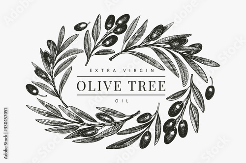 Olive branch design template. Hand drawn vector food illustration. Engraved style mediterranean plant. Retro botanical picture.