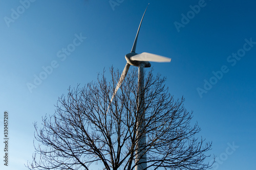 Modern windmills reaching hights well above the highest rees photo