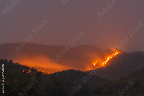 Bush forest wild fire at night