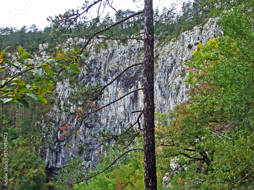 The Skocjan Caves Park (UNESCO World Heritage) or Park Škocjanske jame - Divača (Divaca), Slovenia photo