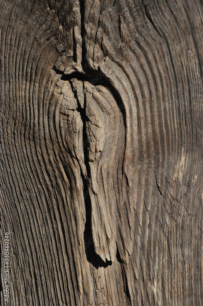 Fototapeta premium wood texture background