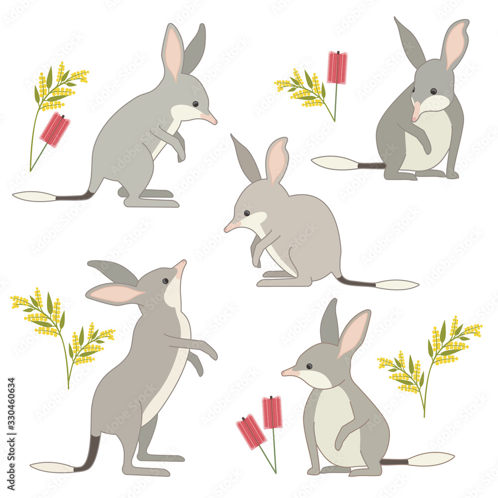 Australian Bilbies