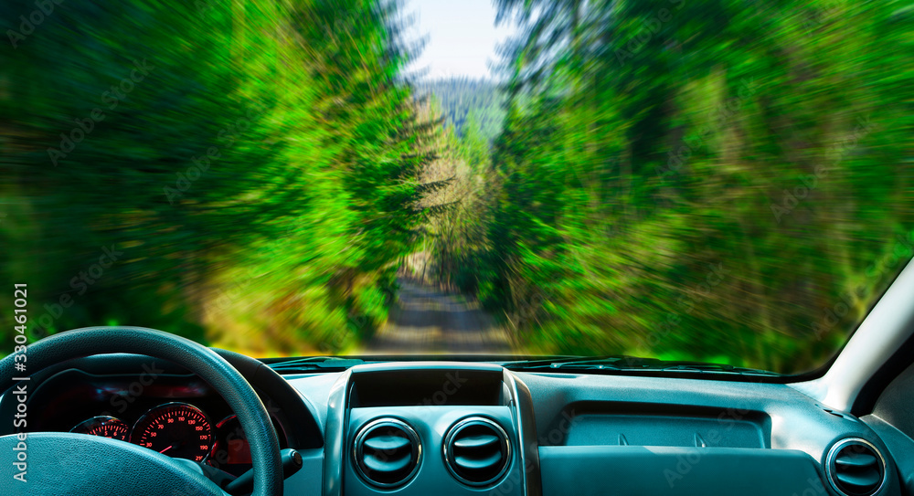 car in the forest. motion blur landscape with interior view