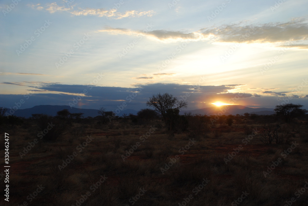 Africas wildlive and landscapes Africas wildlive and landscapes