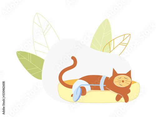 Cat Wearing Diaper Sleeping with Wheel Instead of Amputated Hind Leg, Disable Animal Medical Assistance, Pets with Disabilities Surgery, Veterinary Clinic Prosthetics. Cartoon Flat Vector Illustration