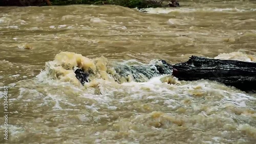 Wallpaper Mural Closeup of river crushing on a wood log Torontodigital.ca