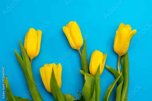 Yellow tulips flowers on a blue background. Waiting for spring. Happy Easter card. Flat lay  top view. Copy space for text