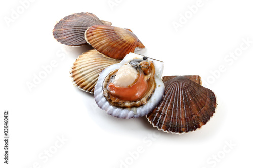 Scallops and opened scallop