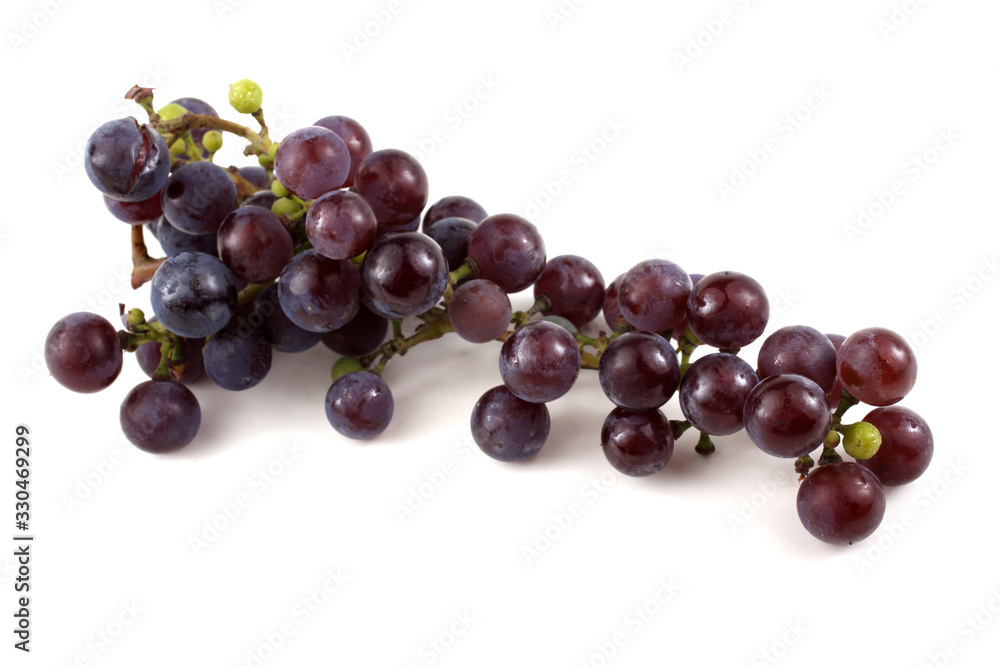 Fototapeta premium Black wine grape