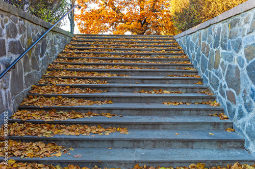 Fototapeta Naklejka Na Ścianę i Meble -  Fall Stairs Leaves