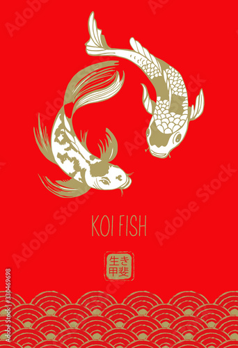 Koi fish. Japanese carp. Vector illustration on a red background.