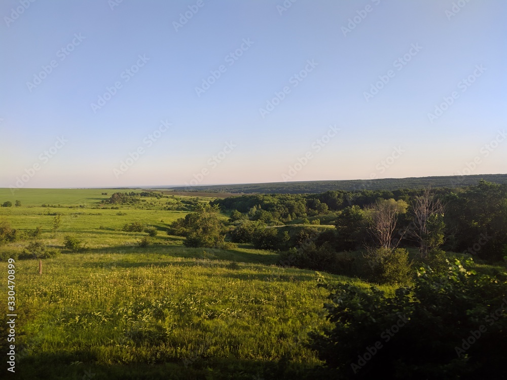 Obraz premium field and blue sky