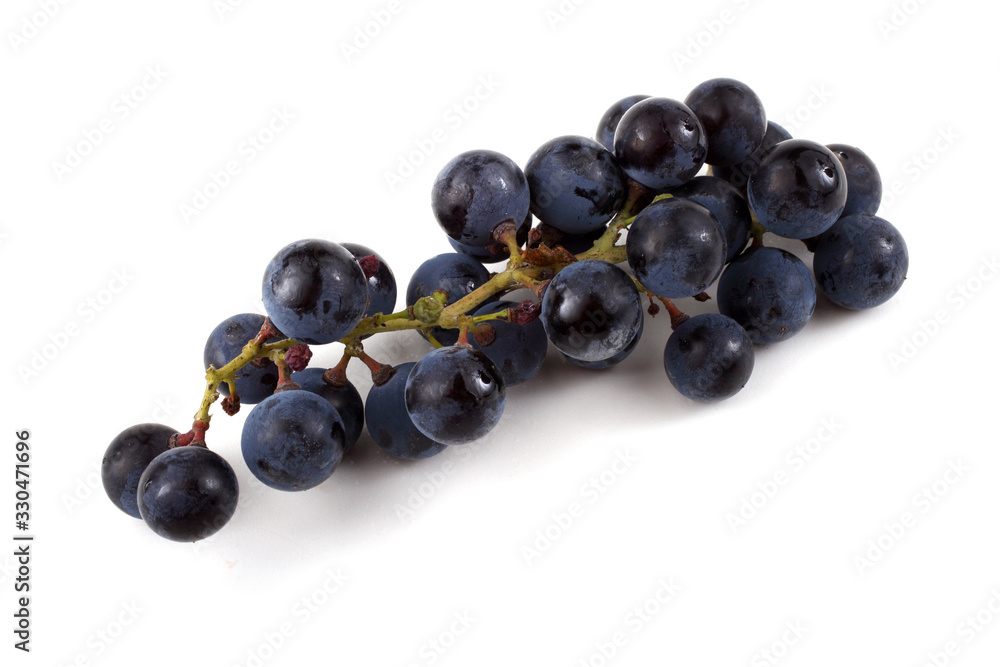 Black wine grape Black wine grape