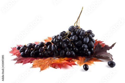 Black grape on autumn maple leaves