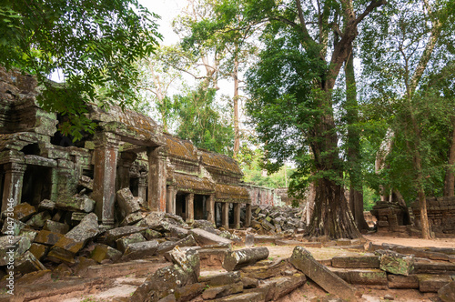 Ruin in Ta Prohm Temple, Angkor complex. Siem Reap, Cambodia.