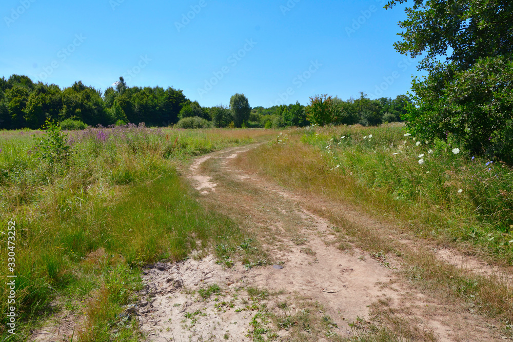 dirt road in a field with trees