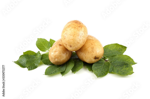 Cream color potatoes on leaves