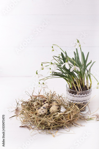 Easter composition with snowdrop flowers and a small nest with quail eggs on a white wooden background