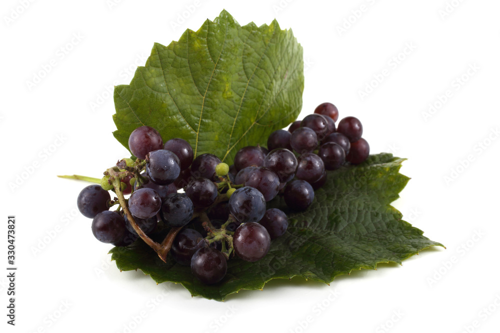 Fototapeta premium Black wine grape on leaf