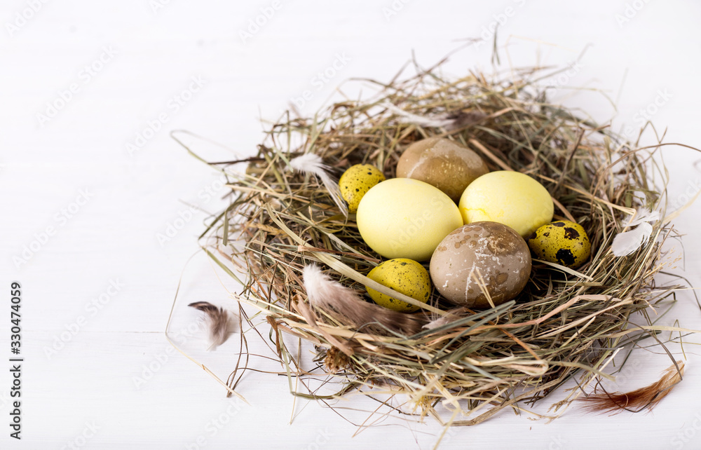 nest with colored easter eggs on white wooden background nest with colored easter eggs on white wooden background