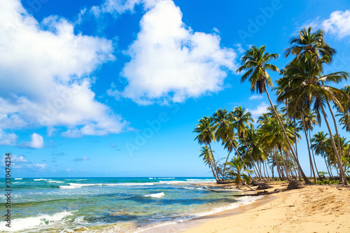 Fototapeta Naklejka Na Ścianę i Meble -  Palm trees on the wild tropical beach in Dominican Republic. Vacation travel background