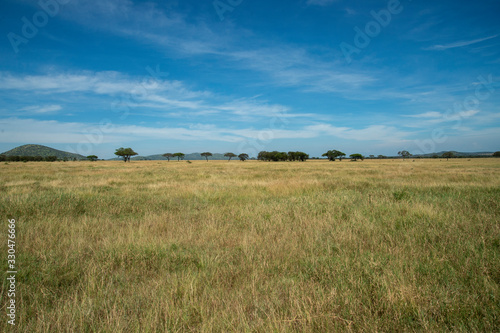 serengeti national park © maurizio