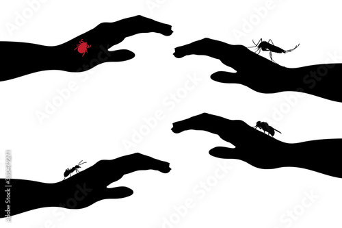 Vector silhouette of set of insect sitting on human hand on white background. Symbol of insect who annoying people. Danger of diseases.