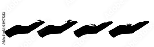 Vector silhouette of collection of insect sitting in human palm on white background. Symbol of insect who annoying people. Danger of diseases.