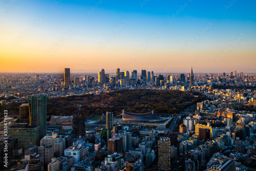 Obraz premium 〈東京都渋谷区〉渋谷スカイから東京の景色