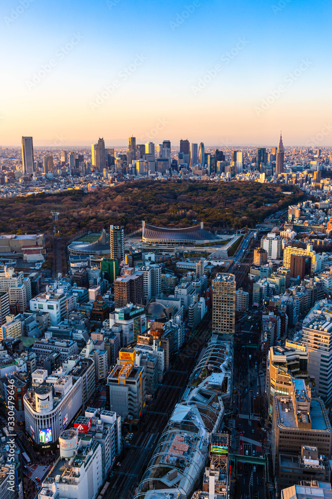 Fototapeta premium 〈東京都渋谷区〉渋谷スカイから東京の景色