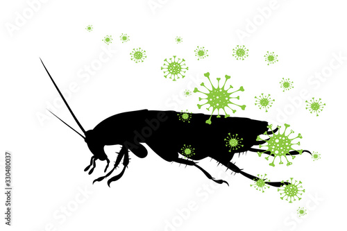 Vector silhouette of cockroach spreading bacteria on white background. Symbol of annoying insect and danger of diseases.