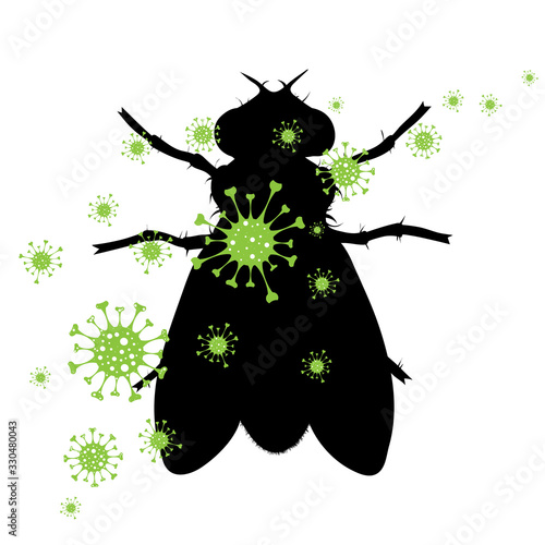 Vector silhouette of fly spreading bacteria on white background. Symbol of annoying insect and danger of diseases.