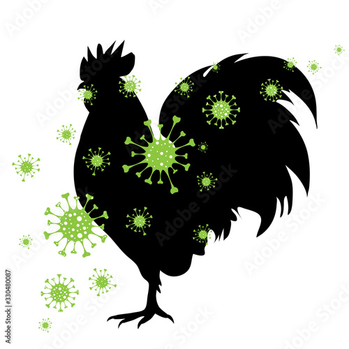 Vector silhouette of rooster spreading bacteria on white background. Symbol of danger bird flu.