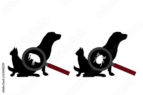 Set of vector silhouette of tick and flea under magnifying glass sitting on dog and cat on white background. Symbol of insect who annoying animal. Danger of Lyme disease and encephalitis.