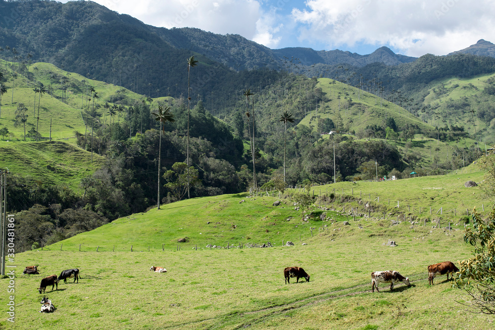 Colombia