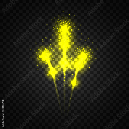 Fireworks on transparent background. Vector illustration.