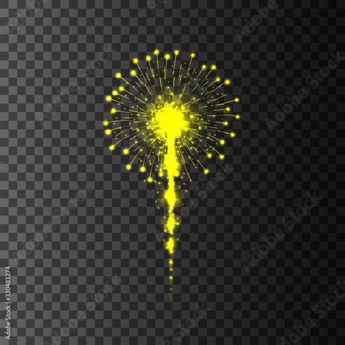 Fireworks on transparent background. Vector illustration.